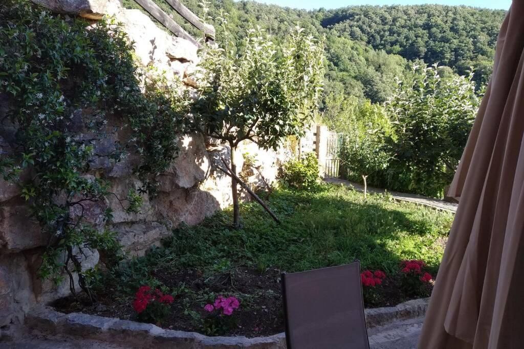 El Mirador De Cobena Ii. Aires De Liebana En Picos Apartman Kültér fotó